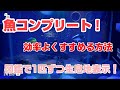 【あつ森】魚図鑑コンプリート！進め方のコツ、全80種類の生息時期と場所公開！時間帯はコメ欄(レア魚のみ)【あつまれどうぶつの森】