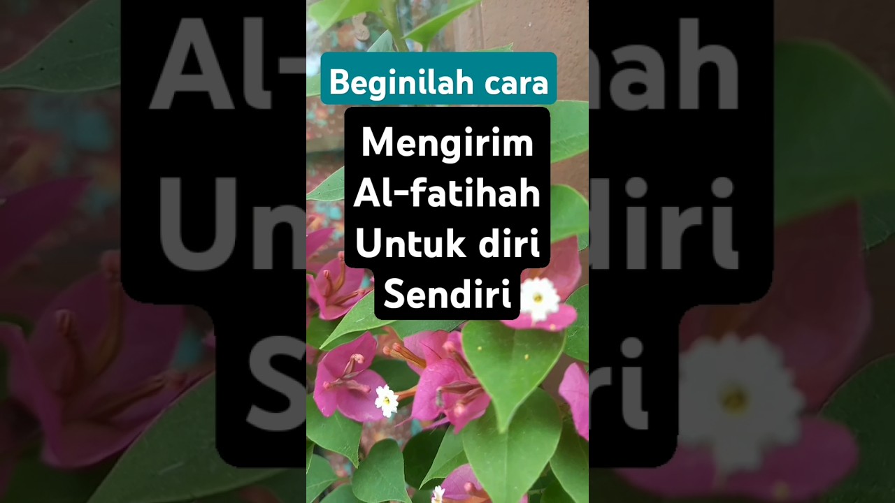 beginilah cara mengirim al-fatihah untuk diri sendiri.!