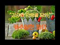캐주얼한 파티, 미국문화, 웃음소리와 감동적인 순간, 오늘의 수확, 멋과 맛이 있는플로리스트리, 가을의 따뜻함, 특별한 기억
