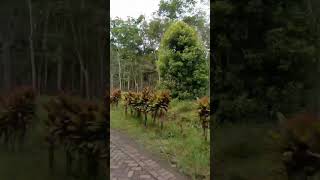 VID-20230128-WA0024 080346