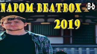 NaPoM Beatbox (2019)