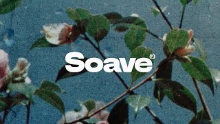 Dt James & Kimbo - Flowers In The Rain (Feat. Nessi)