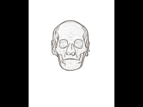 The Face of Queen Hatshepsut: Redux (Artistic Reconstruction)