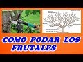 Como Podar Ãrboles Frutales // Podas // Destacados // Enseñanzas