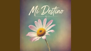 Mi Destino