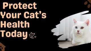 Why Your Cat Needs Vaccines – Protect Your Pet’s Health Today