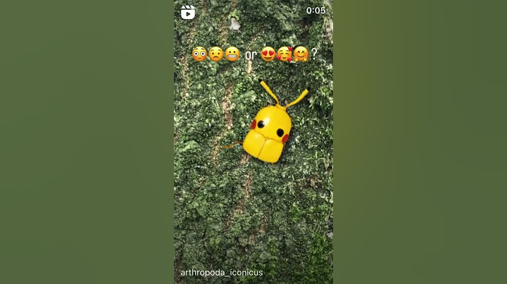 PIKACHU BUG!!! Soo cute! 🥰 #pokemon #pikachu #bug #hottacatchthemall