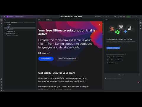 Part 1 ~ IntelliJ IDEA   Setting Up Environment and Running First Program