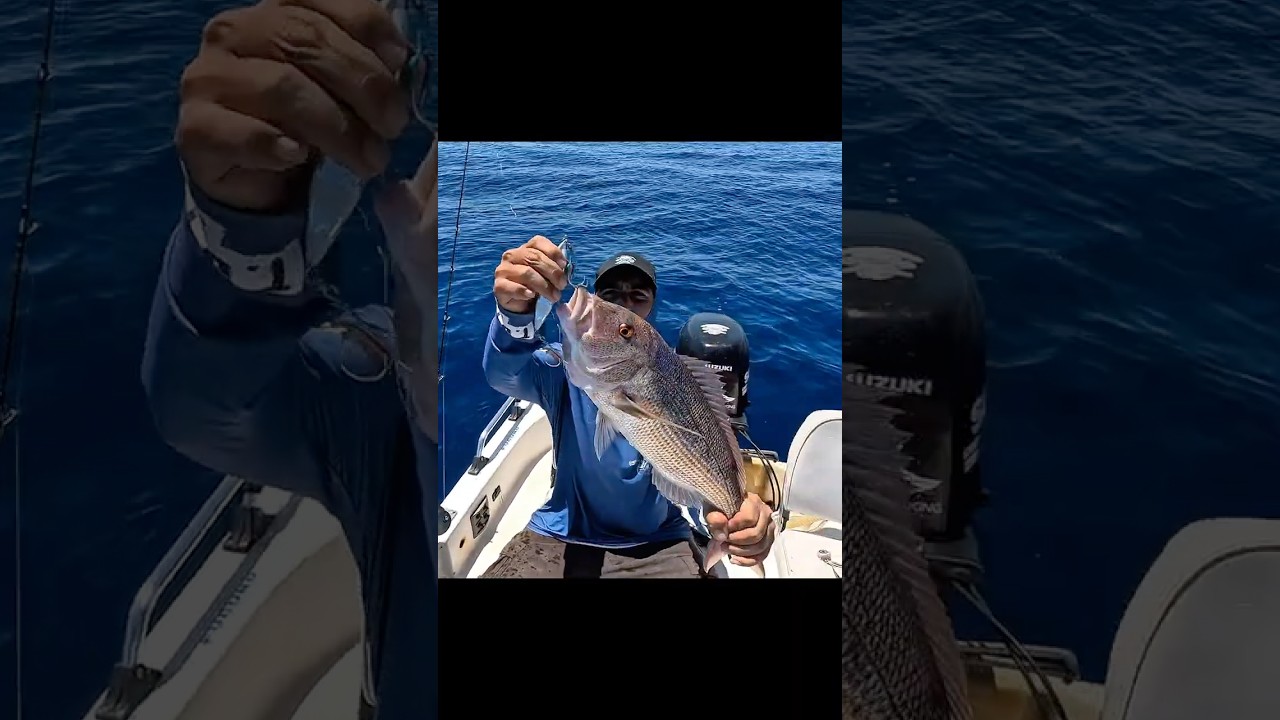 Ψάρεμα slow jigging με trapjig!! #boatfishing #fishing #rhodes #ψάρεμα