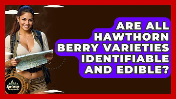 Are All Hawthorn Berry Varieties Identifiable And Edible? - Exploring Campgrounds