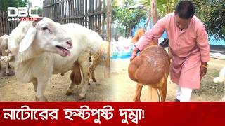 ২টি ছাগল থেকে এখন কোটিপতি নাটোরের আনোয়ার | DBC NEWS Special