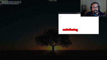 Building a debugger With Zig For Zig | Finally starting to understand XRender