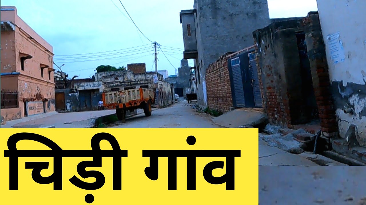 चिड़ी गाँव I CHIRI VILLAGE | Chiri Lakhan Majra Rohtak | Chiri gaon Ki Video | Chiri gaon #chiri