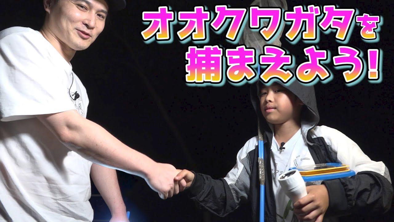 【夏休み特別編】加藤純一さんとオオクワガタ捕獲に挑戦