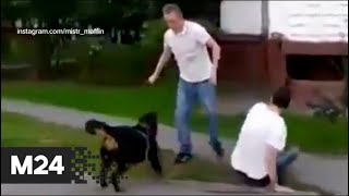 Мужчина ранил собаку ножом на глазах у хозяев - Москва 24 Мужчина ранил собаку ножом на глазах у хозяев - Москва 24