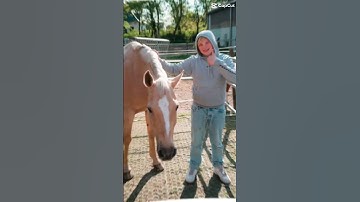 Steig auf! Musikvideo thanks for 200 Abonnenten #hellagabbert #golum #valentino #music #danke