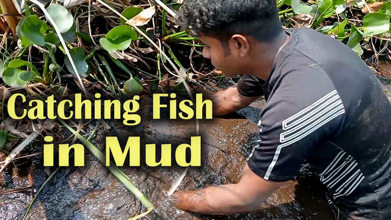 Hand Fishing Video | Village People Fishing by Hand | Catching Fish in ...