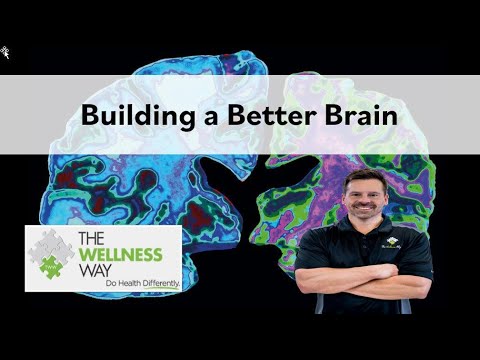 Building a Better Brain - YouTube