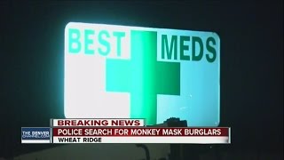 Suspects in monkey masks break in to marijuana dispensary in Wheat Ridge