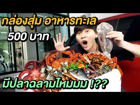 กล่องสุ่มอาหารทะเล 500 บาท ... อยากได้ปลาฉลามมาเลี้ยงจังครับ !!?