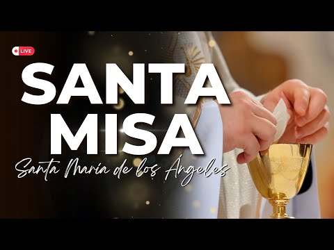 Santa Misa de hoy 07 de Julio 2025 🌟 El Buen Dios #SantaMisa #ElBuenDios