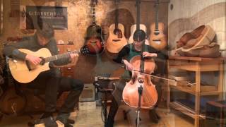 Highland Wedding by Steve Morse - Gitarre & Cello