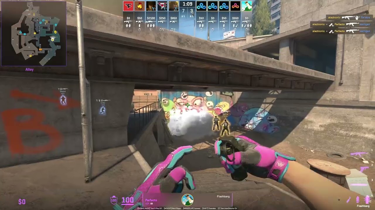 CS2 Overpass - Monster Flash From Perfecto