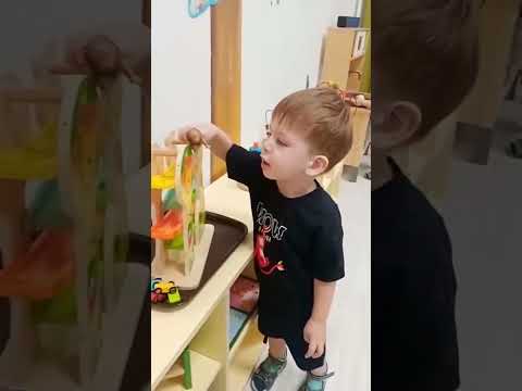 Свободная игровая деятельность.