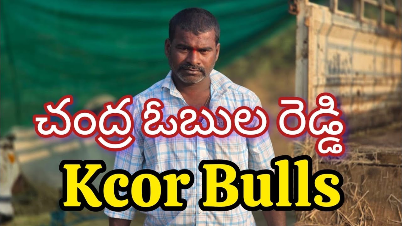 మాచిరెడ్డిపల్లి న్యూ కేటగిరి విభాగంలో 3 va jatha