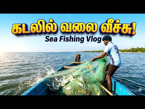 Fishing in live 💞#fish#fishing 