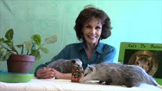 Proper Possum Pumpkin Butter
https://patreon.com/MEpearl https://zazzle.com/MEpearl https://Instagram.com/pearldewisdom https://MEpearl.com
Order Pearls of Wisdom, Advice from a Dead Squirrel from Amazon
or Barns and Noble or your favorite bookseller. Proper Possum Pumpkin Butter