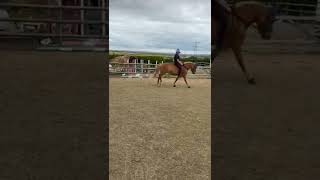 First time jumping bareback!! Rosie was incredible!! |Crazy ponies