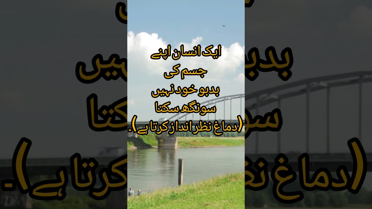 Mind Blowing fact's Urdu | Part 9 | Ppsc Decode With Sir Ali