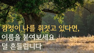 감정에 휘둘리지 않는 연습 | 감정 알아차림 명상