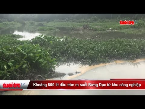 Video Khoảng 800 lít dầu tràn ra suối Bưng Dục từ Khu công... - youtube