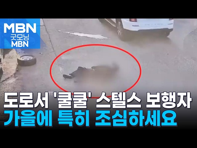 도로에 눕거나 앉은 '스텔스' 보행자 사고…가을철 특히 조심 [굿모닝 MBN]