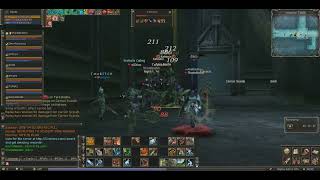 Imperial Tomb AOE first attempt no destro Lineage 2 Reborn