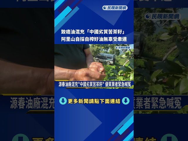 致癌油混充"中國劣質苦茶籽" 阿里山自採自榨好油無辜受牽連－民視新聞