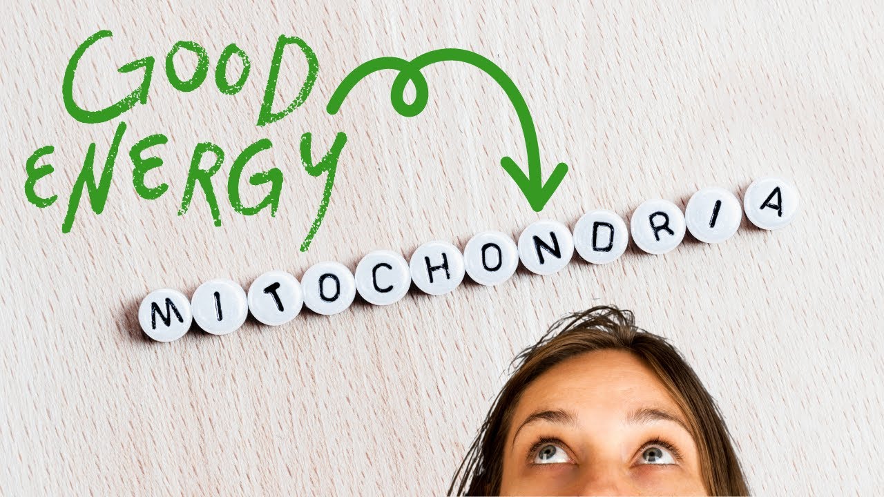 Revolutionize Your Wellness with this GameChanging Discovery YouTube
