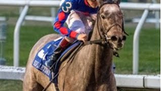 2021 Silverbulletday Stakes screenshot 5