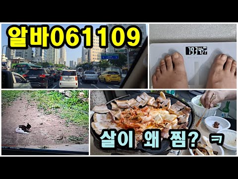 [귀농귀촌] 알바_폭우,삼겹,쇠주,<strong>체중증가</strong>,속판배선20개마무리