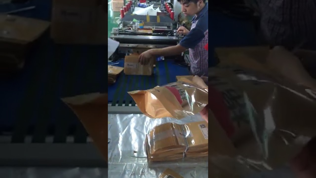 máquina de bolsas con sellado central stand up zipper bag making machine with servo motor control