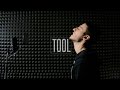 Tool  vicarious vocal cover w lyrics