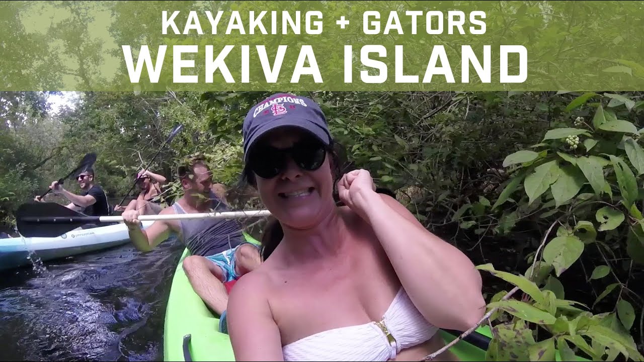 Kayaking + Gators at Wekiva Island YouTube