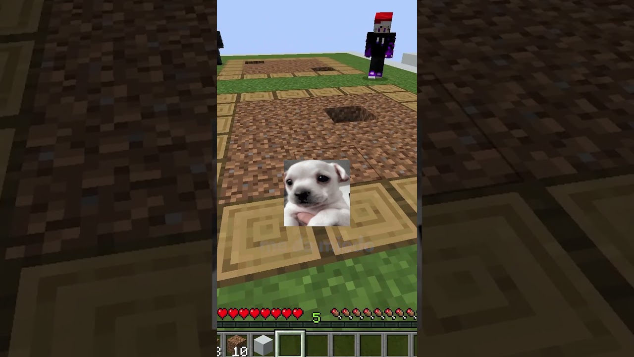 Minecraft, but it's 2 vs. 2 in Minesweeper 🧨