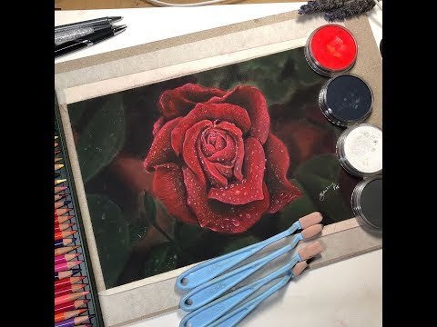 PanPastel Painting Tutorial by Sheldene - Red Rose Pt1