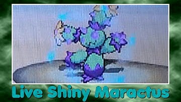 [Phase 6][Live] 2nd Shiny Maractus / Maracachi after 7473 RE!