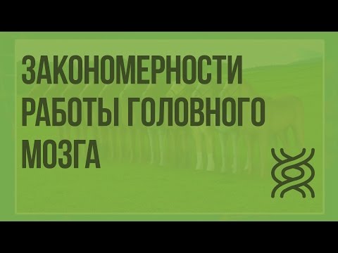 Закономерности работы головного мозга. Врожденные и приобретенные формы поведения. Видеоурок