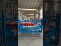 Customer Visiting Our 4-Way Shuttle System Factory #warehouseautomation  #smartwarehouse #asrs