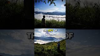 The Gift Of Life S.capcuttv2Zsykhqwer